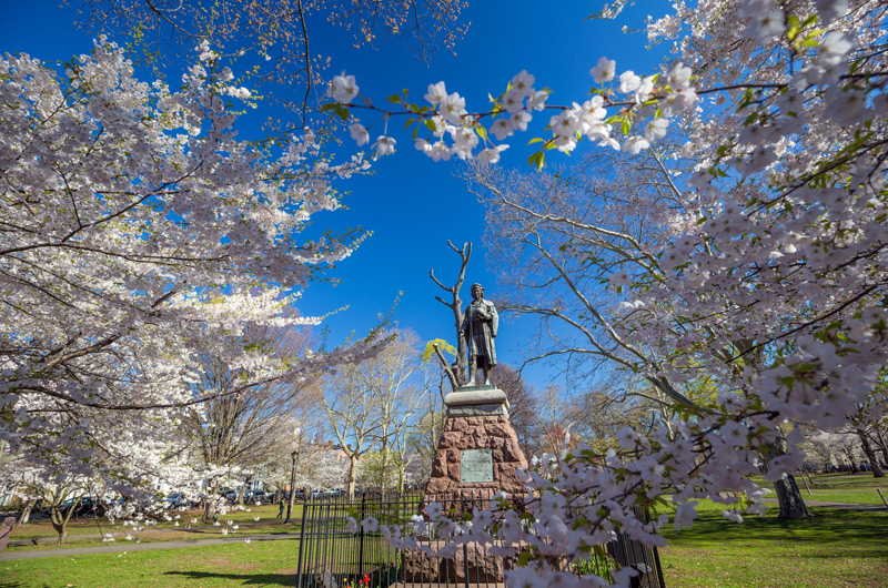 Temple Square - Surrounding Area: Wooster Square, New Haven